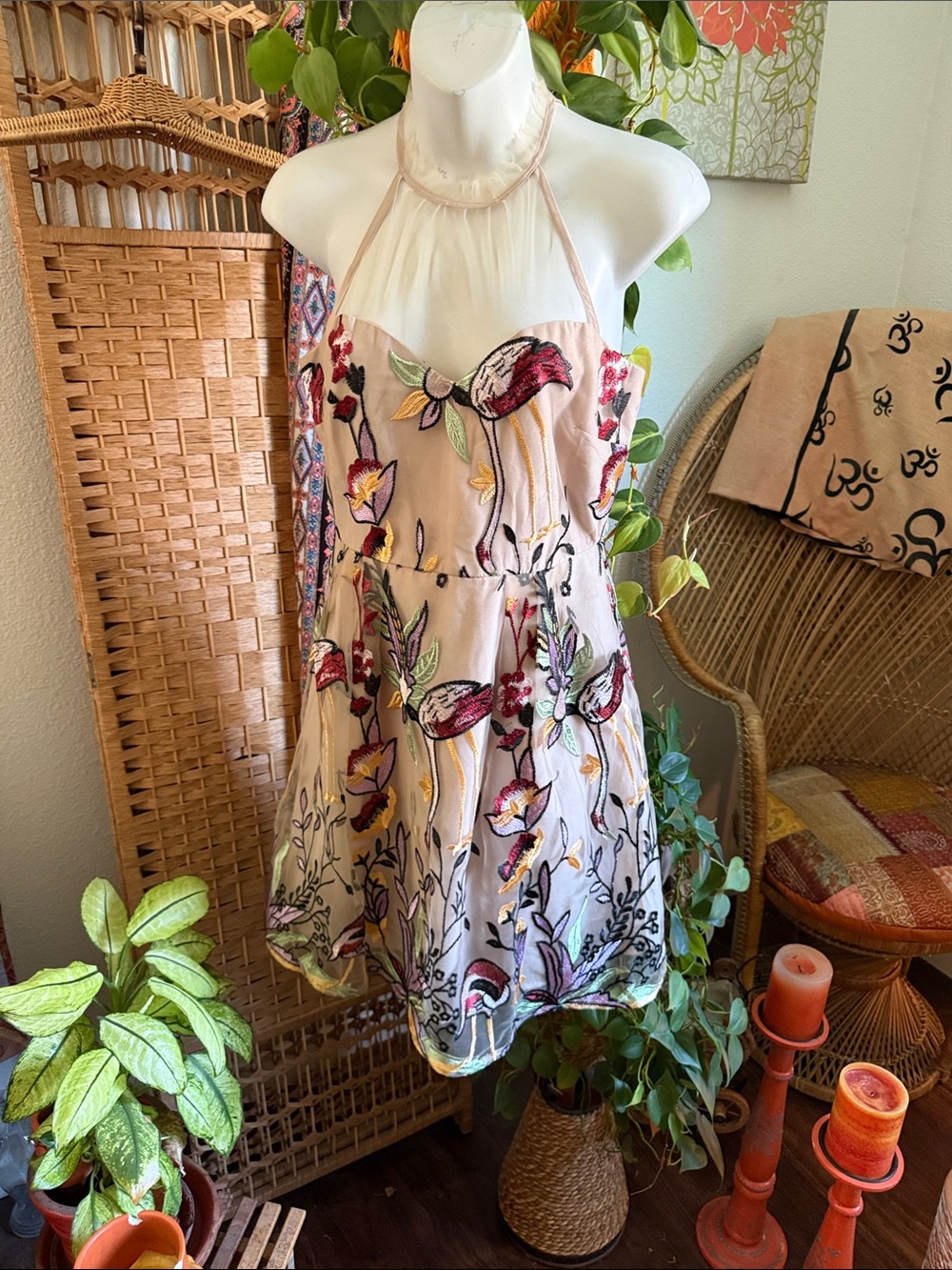 the clothing company Blush Pink Tulle Dress with Sheer Detail